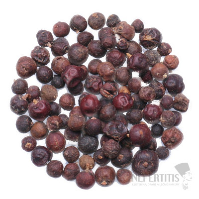 Himalayan juniper - fruit