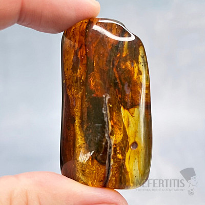 Polished amber Lithuania 8