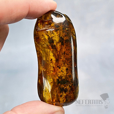 Polished amber Lithuania 12