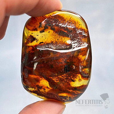 Polished amber Lithuania 9