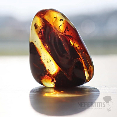 Polished amber Lithuania 3