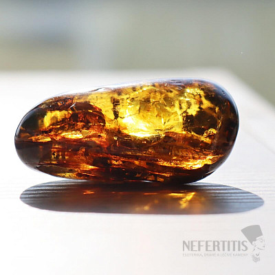 Polished amber Lithuania 5