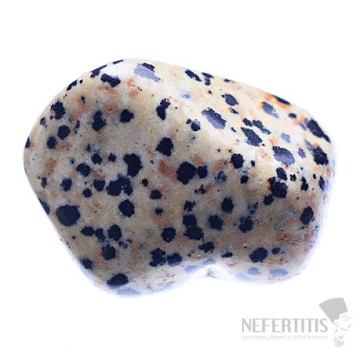 Dalmatian jasper drummed