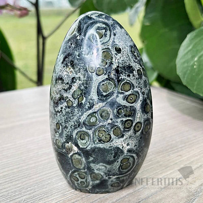 Jasper kambaba polished freeform Madagascar 1