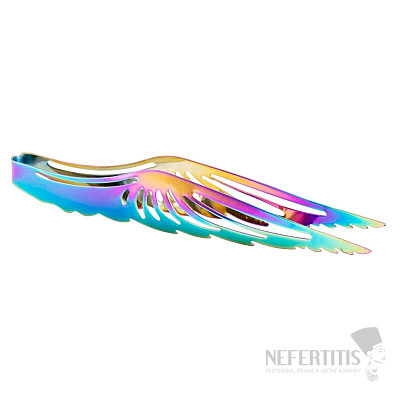 Charcoal pliers Rainbow angel wings