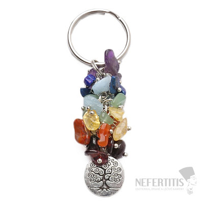 Chakra keychain with the tree of life