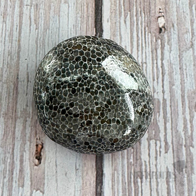 Schwarze getrommelte fossile Koralle Marokko 4