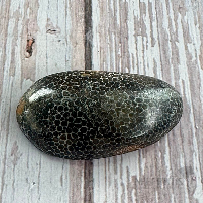 Schwarze getrommelte fossile Koralle Marokko 7