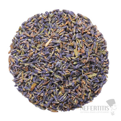 Lavender flower