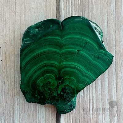Malachite polished slice 29