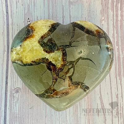 Polished Septoria Madagascar large Heart P8-10
