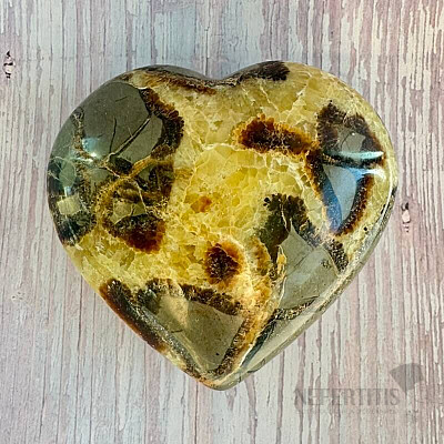 Polished Septoria Madagascar large Heart P8-12