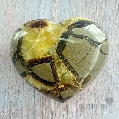 Polierte Septaria Madagascar Heart P6-11