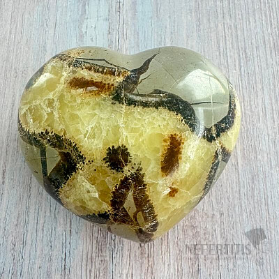 Polierte Septaria Madagascar Heart P6-16