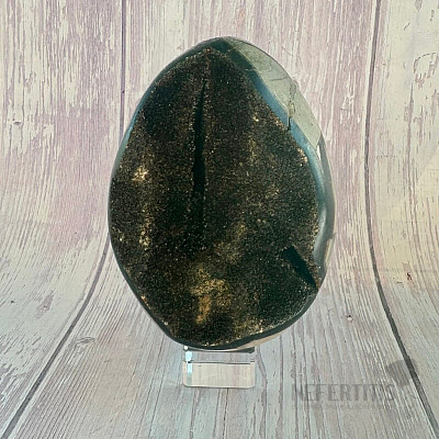 Septoria Dragon Egg Madagascar OS-10