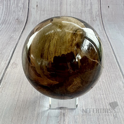 Petrified Wood Sphere Madagascar 15