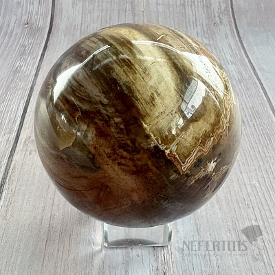 Petrified Wood Sphere Madagascar 17