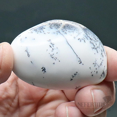 Opal dendritic Turkey drummed 5