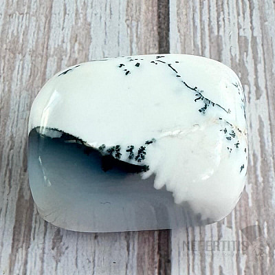 Opal dendritischer Truthahn getrommelt 7