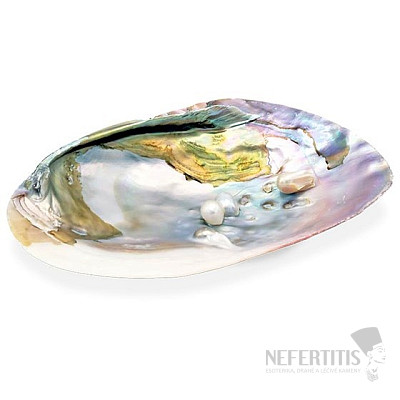 Mother of pearl polished smoking bowl