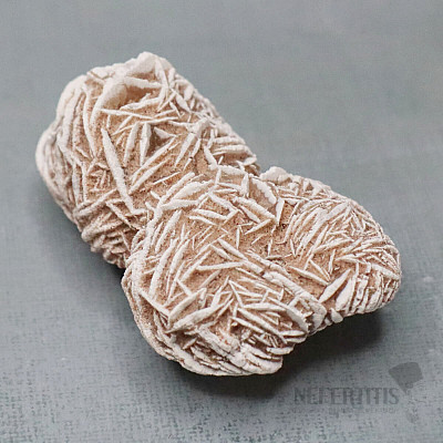 Desert rose - gypsum Tunis 4