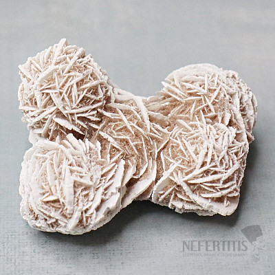 Desert rose - gypsum Tunis 6