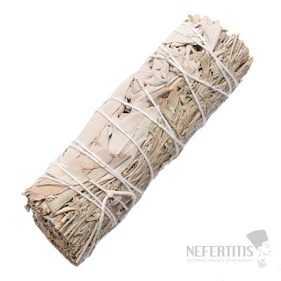 White sage and sage blue smoking bundle 10 cm