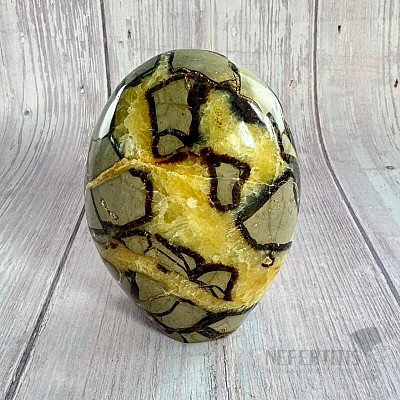 Septoria polished freeform Madagascar TP8 No. 18