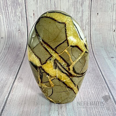 Septoria polished freeform Madagascar TP8 No. 19