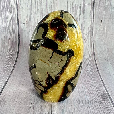 Septoria polished freeform Madagascar TP8 No. 20