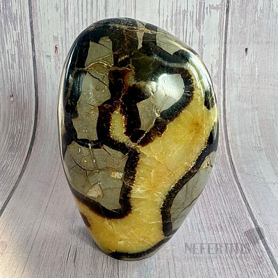 Septoria polished freeform Madagascar TP8 No. 21