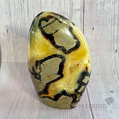 Septoria, polierte Freiform, Madagaskar TP8 Nr. 22