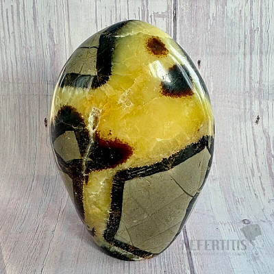 Septoria polished freeform Madagascar TP8 No. 26