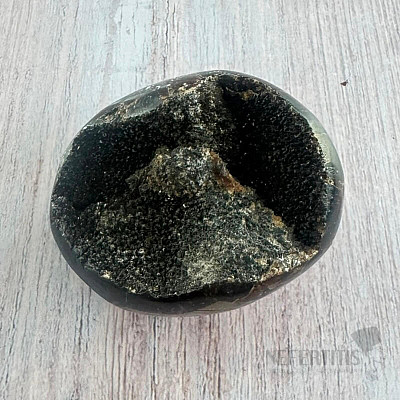 Septoria drusa Madagaskar 13