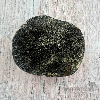 Septoria drusa Madagaskar 14