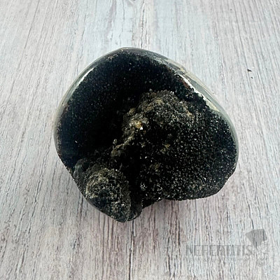 Septoria drusa Madagaskar 15