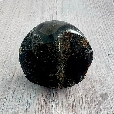 Septoria drusa Madagaskar 17