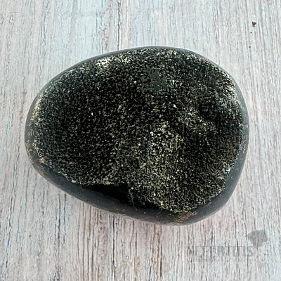 Septoria drusa Madagaskar 18