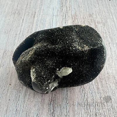 Septoria drusa Madagaskar 19