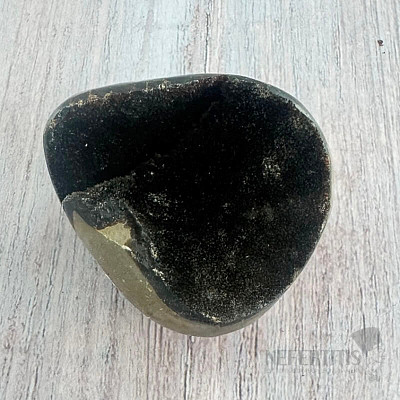 Septoria drusa Madagaskar 20