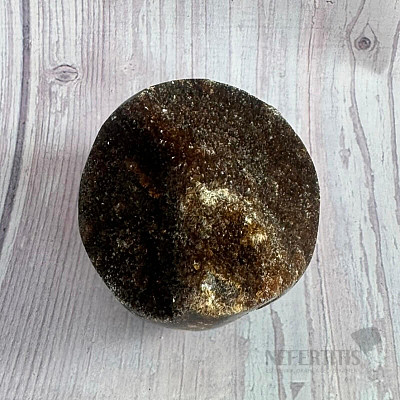 Septoria drusa Madagascar 30