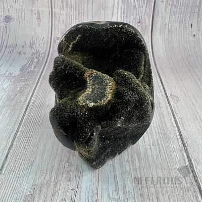 Septoria Dragon Egg Madagascar TP10 No. 3