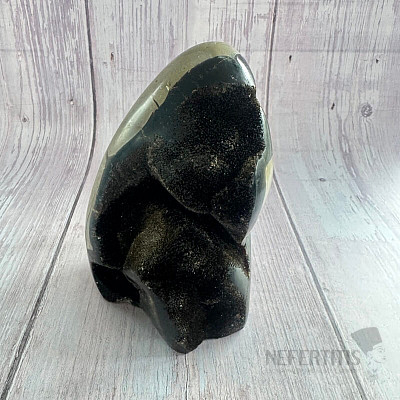 Septoria Dragon Egg Madagascar TP10 No. 4