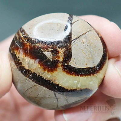 Septária Madagaskar tromlovaná 16