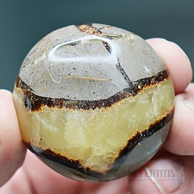 Septaria Madagascar tumbled 17