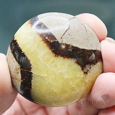 Septaria Madagascar tumbled 18