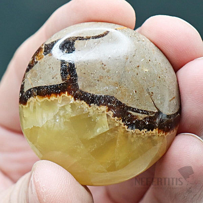 Septaria Madagascar tumbled 20