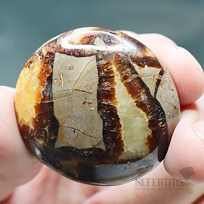 Septaria Madagascar drummed 9