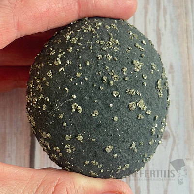 Septaria with pyrite China 5