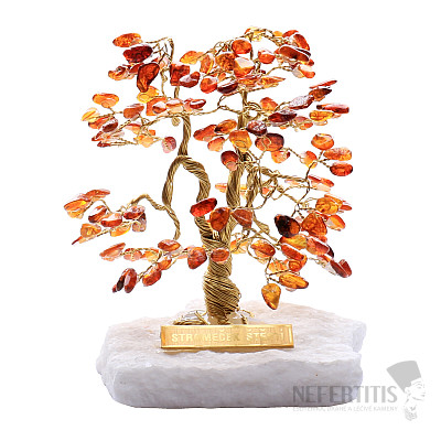 Lucky tree amber A1